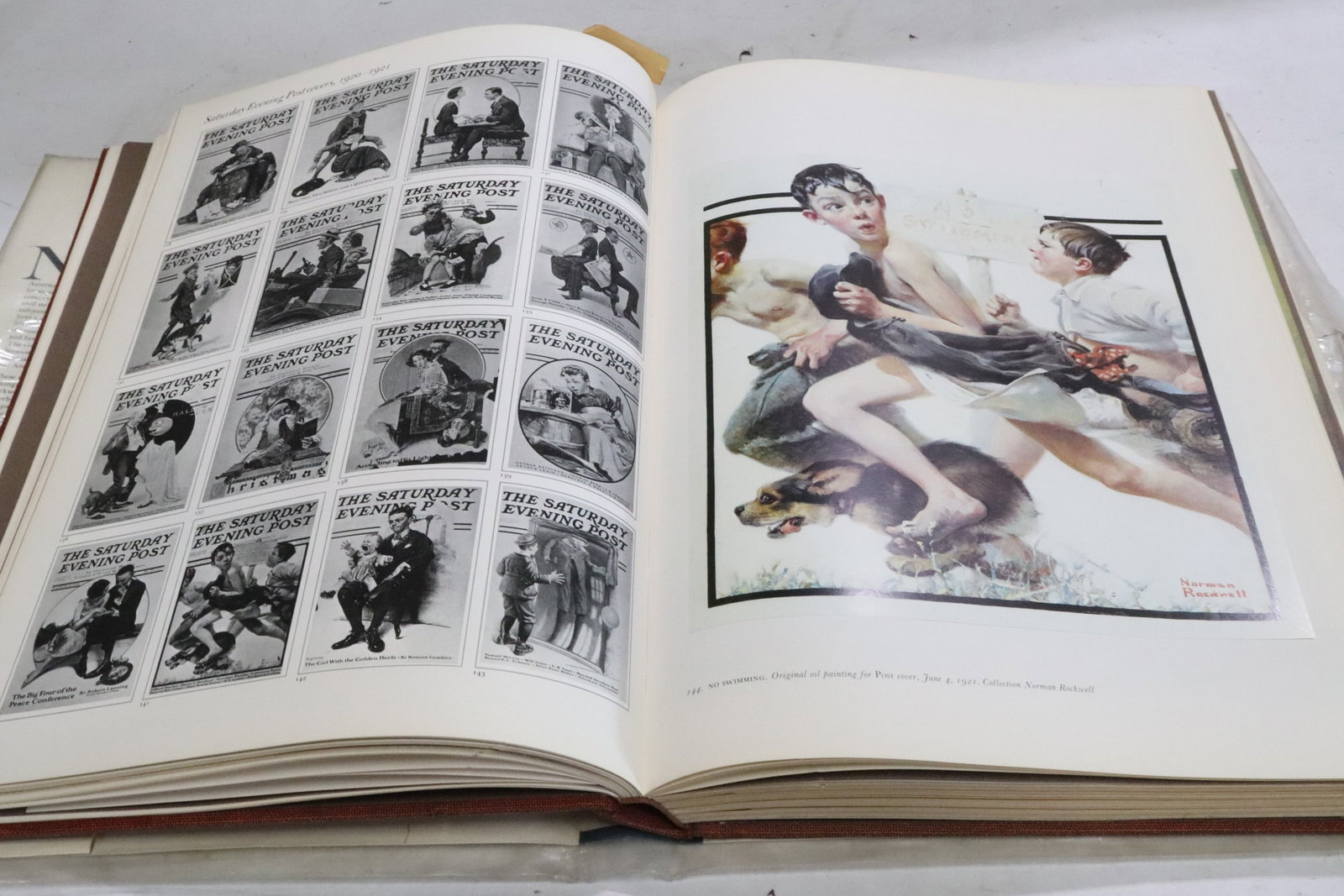 2 large reference books - 10