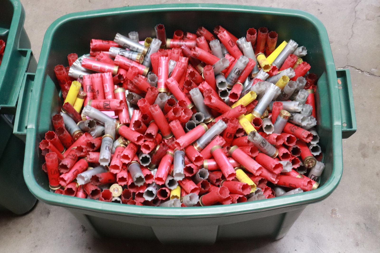 Over 1100 empty shotgun shells - 2