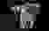 item-19001662=3