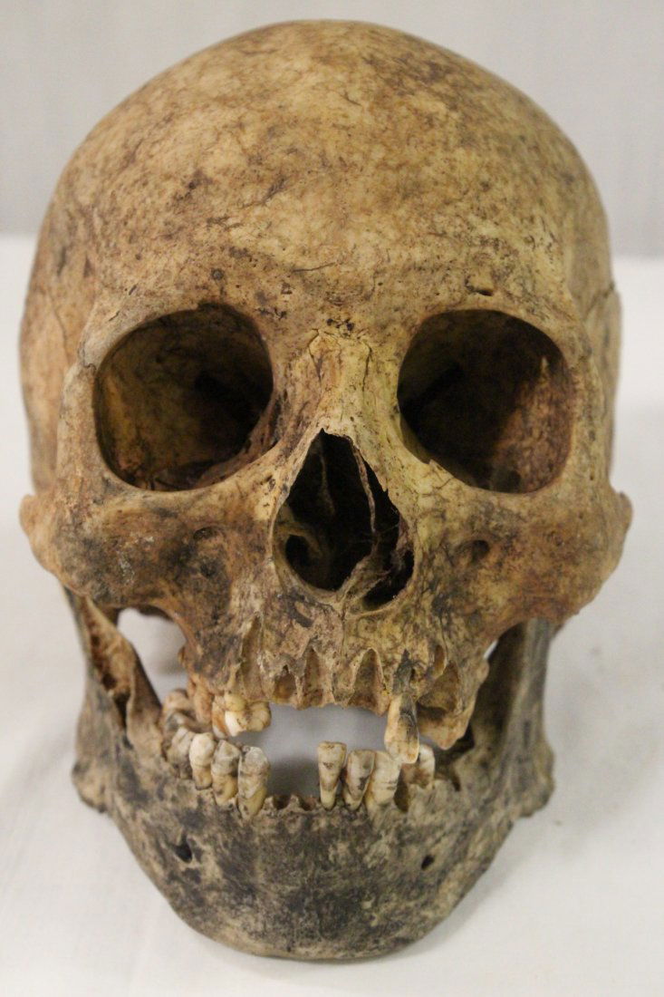 A rare Tibetan antique prayer skull: A rare Tibetan antique prayer skull, approx. 9.5"Hx5.75"x7"