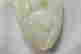 item-33189885=6