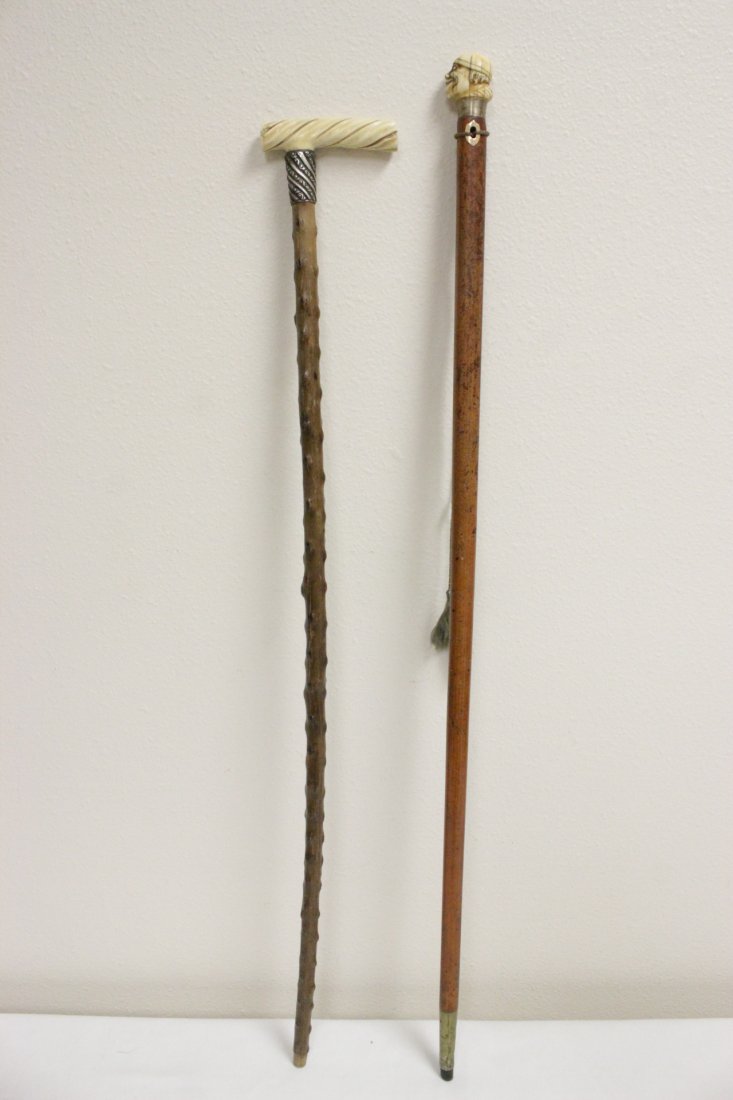 2 European wood and ivory canes (1 of 10)