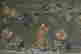 item-46804569=3
