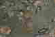 item-46804569=6