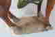 item-47471140=10