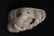 Chinese celadon jade boulder - 5