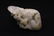 Chinese celadon jade boulder - 8