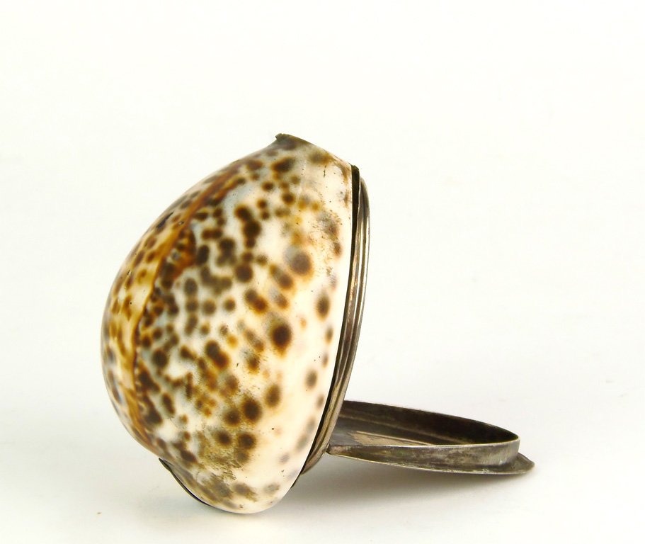 A George III silver mounted cowrie shell snuff bo: A George III silver mounted cowrie shell snuff box, English, circa 1800 with crested silver cover and motto Si Je Puis 9 x 5cm