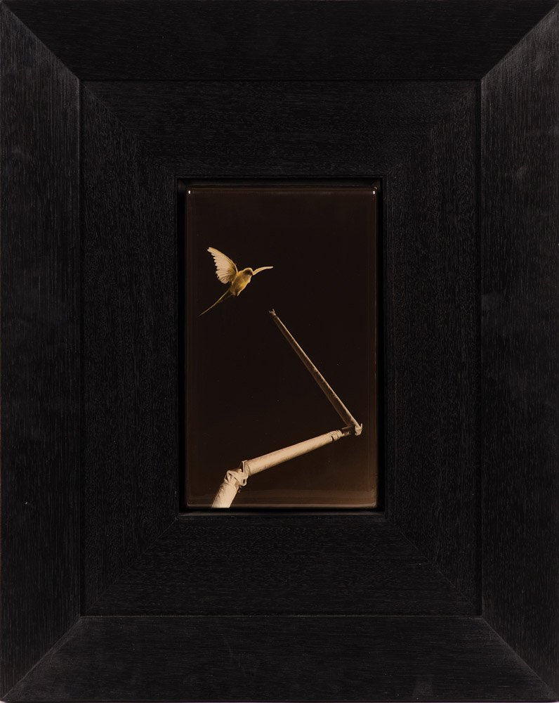 SAM LEACH (BORN 1973) Parakeet oil and resin on board s: SAM LEACH (BORN 1973) Parakeet oil and resin on board signed, titled and dated 2009 to verso 26.25 x 16cm Provenance Private Collection, Melbourne