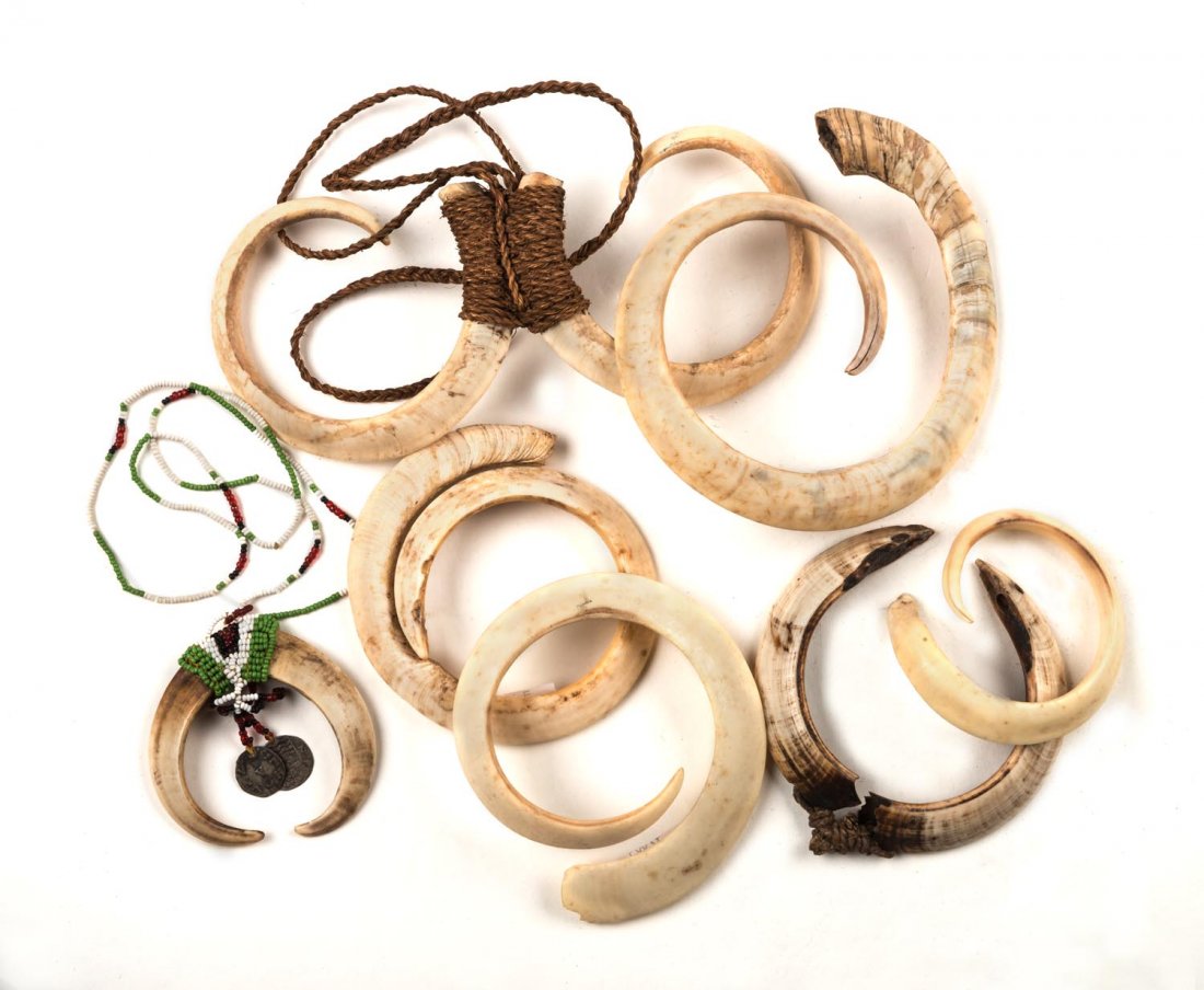 A Collection of Boar Tusk Adornments Vanuatu (early-mid: A Collection of Boar Tusk Adornments Vanuatu (early-mid twentieth century) boar tusk, rattan and trade beads various sizes (7) PROVENANCE Collected in the field by Dr Peter Elliott