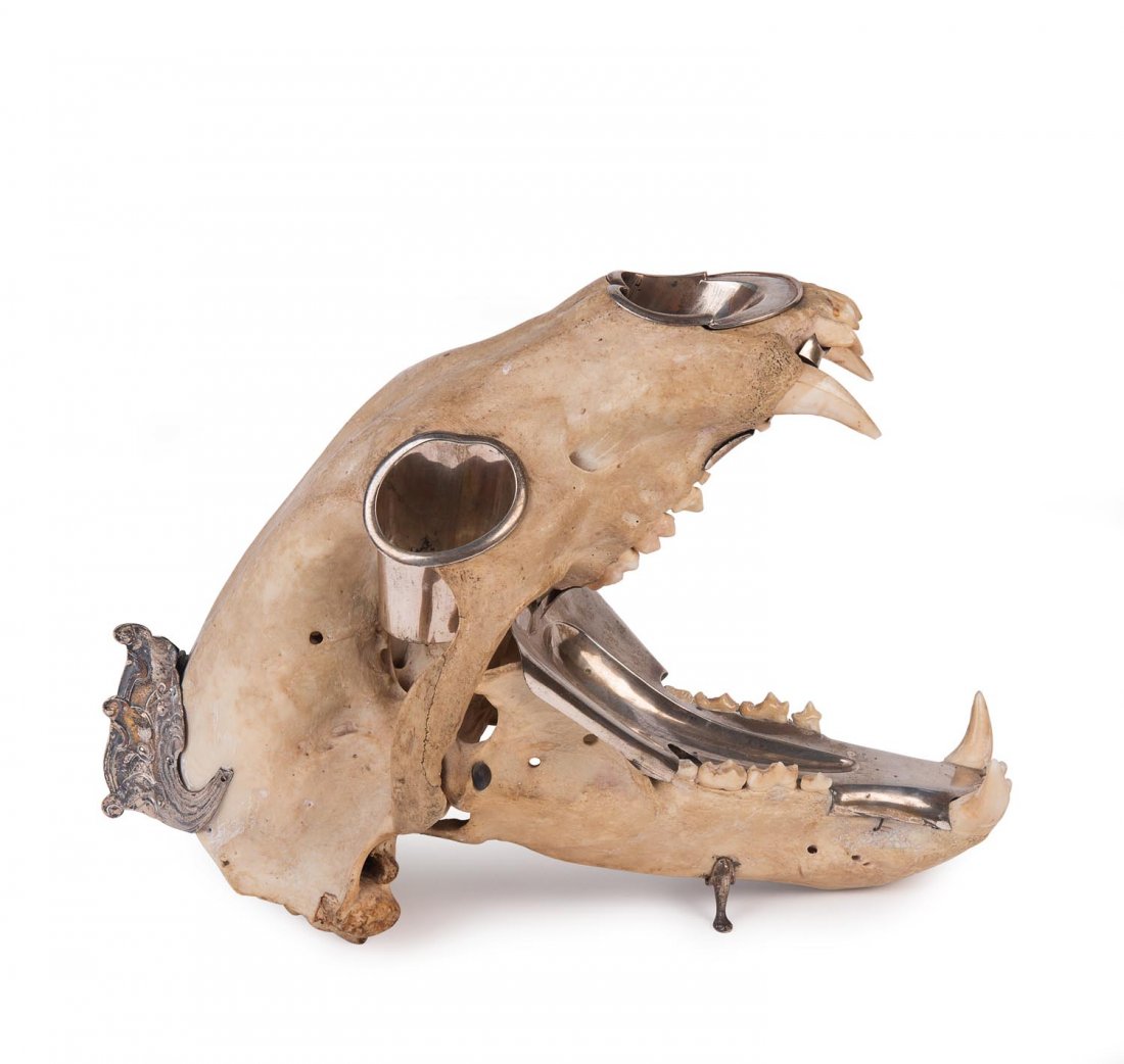 A silver mounted polar bear skull with gaping jaws. â™¦ (1 of 1)