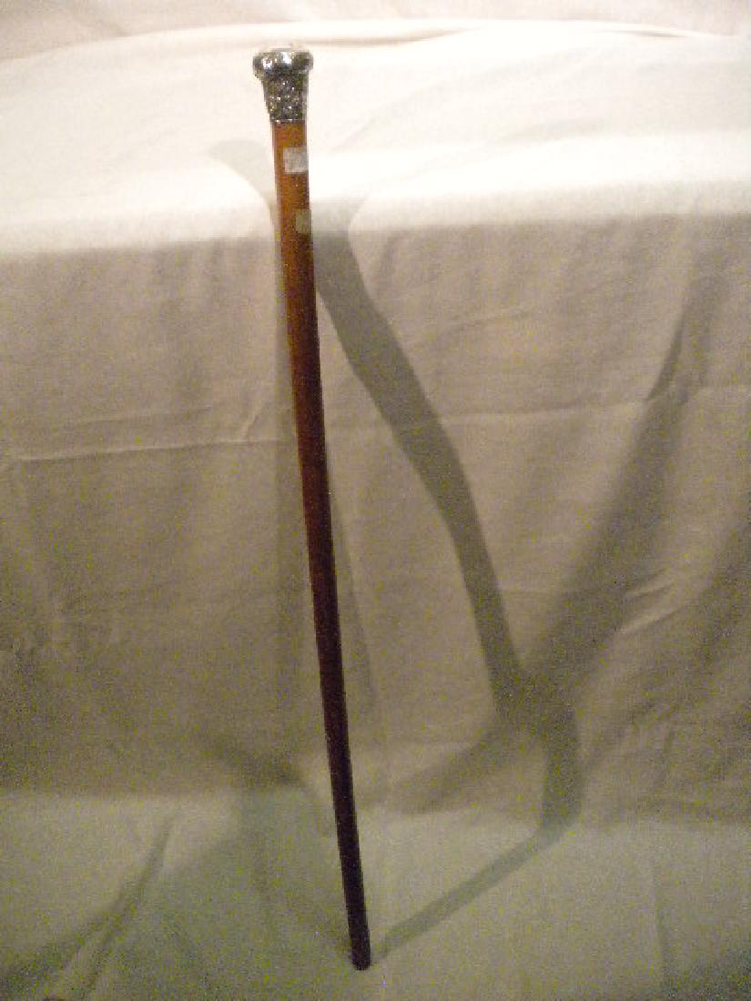 Walking stick (1 of 5)