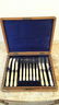 Bone Fish Cutlery Set with Case