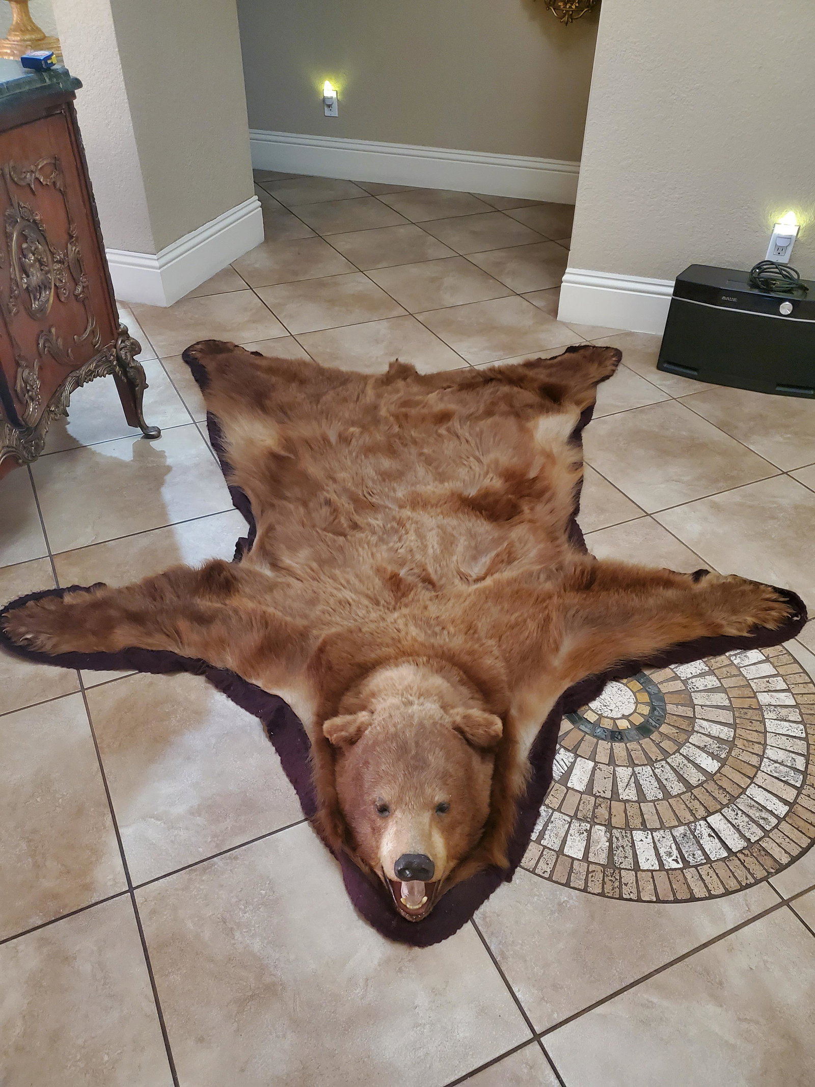Grizzly Bear Rug. Taxidermy (1 of 4)