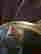 item-111510748=4