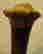 item-131637699=2