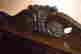 item-131637843=4