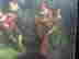 item-131637870=3