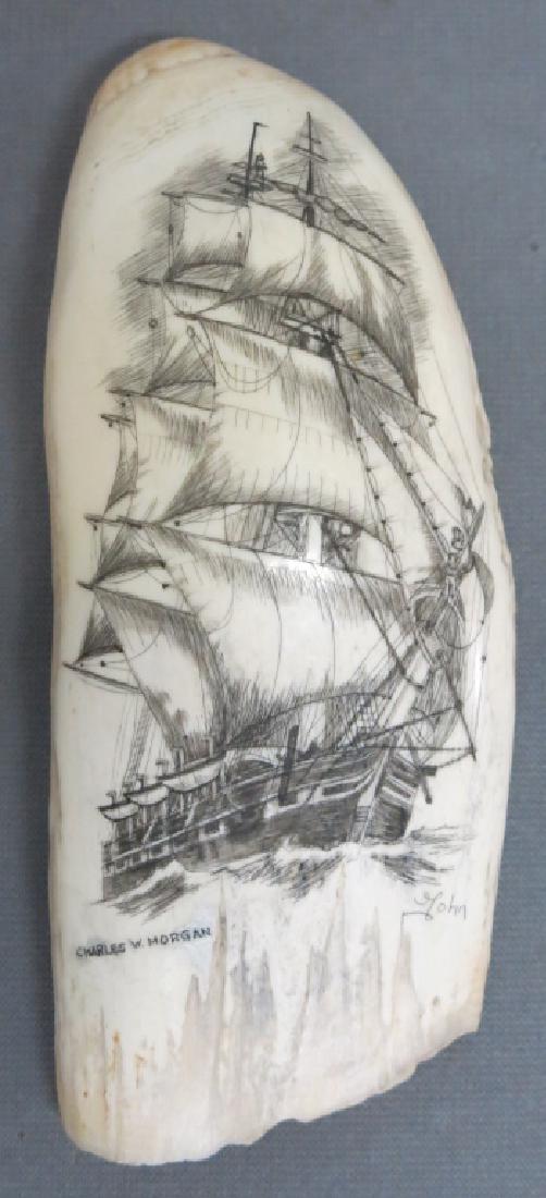 SCRIMSHAWED WHALES TOOTH OF THE C.W. MORGAN: BY JOHN (JAKE) VAN OPSTAL; 7" LONG; SHIPPING RESTRICTIONS WHERE PROHIBITED BY LAW