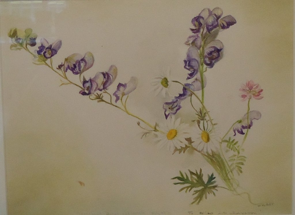 TASHA TUDOR WATERCOLOR PAINTING: OF WILDFLOWERS; (AMERICAN 1915 - 2008); SIGNED "TO ALLEN WITH ADMIRATION"; 7 1/2" X 10"