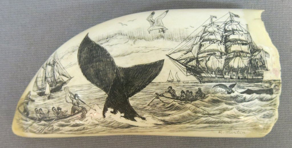 SCRIMSHAWED WHALE'S TOOTH BY RAYMOND MARTIN: WHALE HUNT AND HARBOR SCENE; 6" LONG; MASSACHUSETS BUYERS ONLY