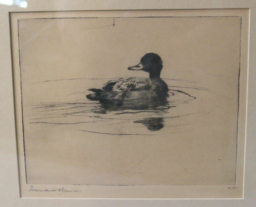 FRANK W. BENSON ETCHING OF A DUCK: 4 1/2" X 5 1/2" SIGHT; (MASSACHUSETTS 1862-1951)
