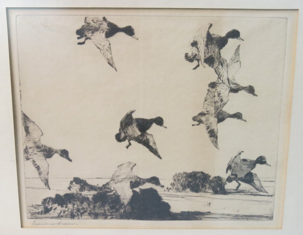 FRANK W. BENSON ETCHING OF DUCKS DRIFTING DOWN: 8 1/4" X 10 1/2"; SIGHT; (MASSACHUSETTS 1862-1951)