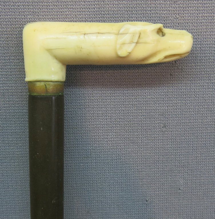 CARVED IVORY TOP DOG'S HEAD CANE: WITH GUTTA PERCHA SHAFT; 32" LONG