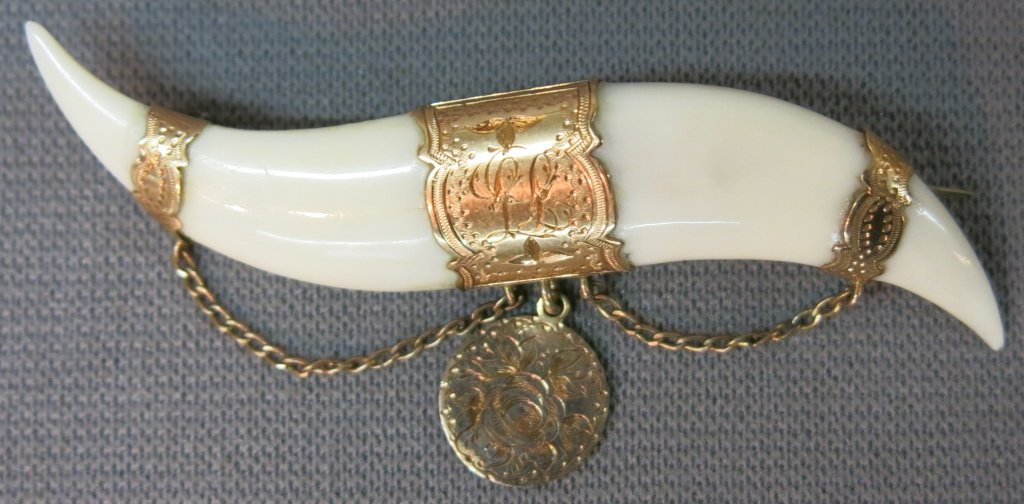 VICTORIAN GOLD AND TIGER CLAW BROOCH (1 of 2)