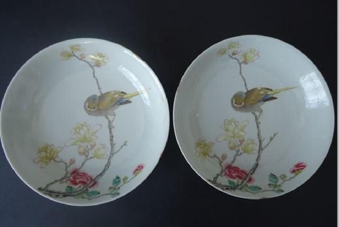 QING DISHES (1 of 1)