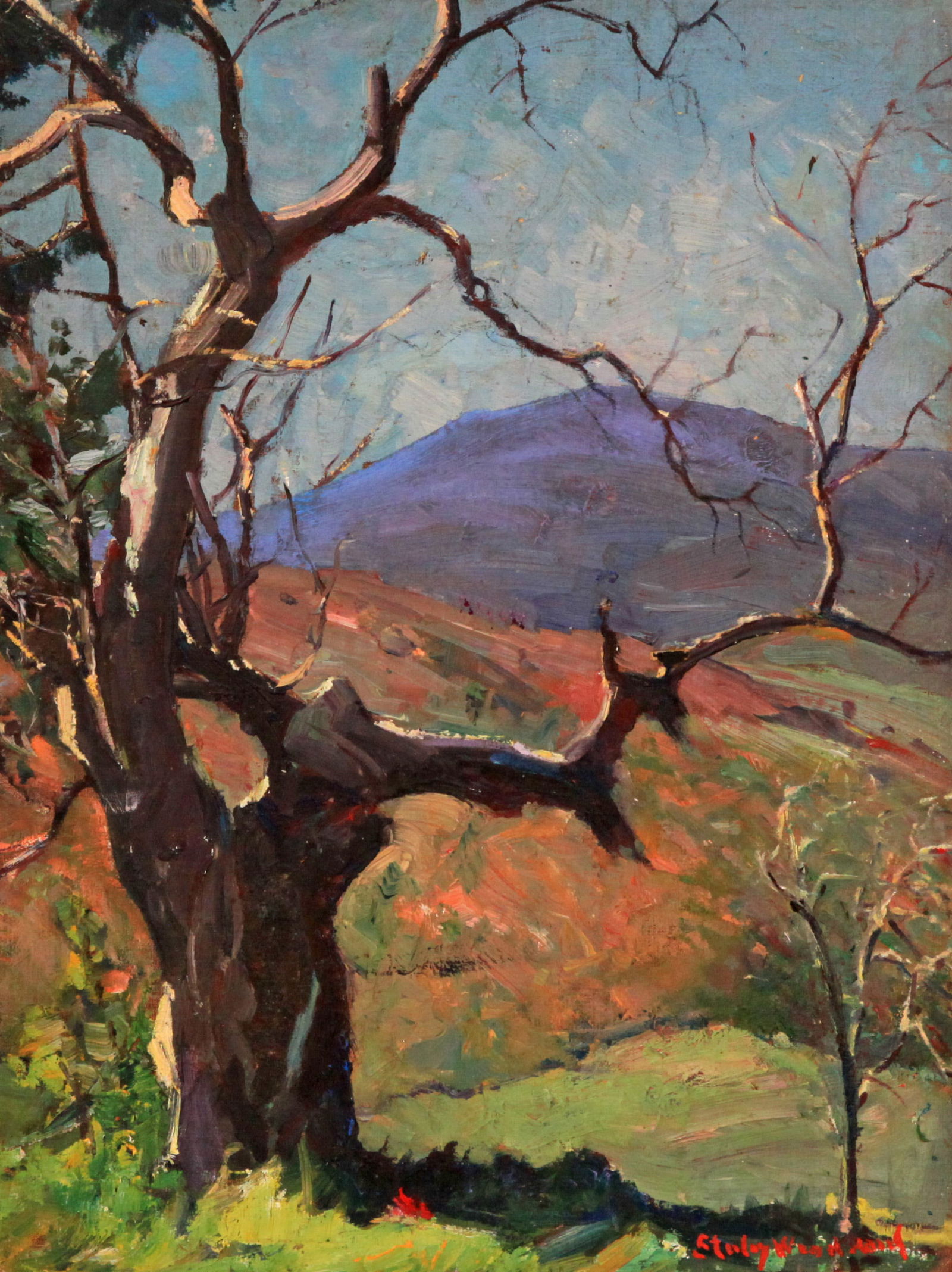 Stanley W. Woodward (1890-1970) Mountain View (1 of 1)