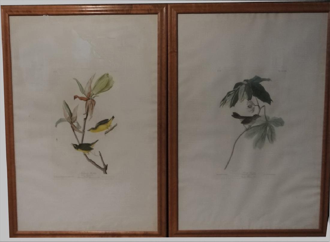 2 JJ AUDUBON, HAVELL EDITION "BIRDS OF AMERICA" (1 of 15)