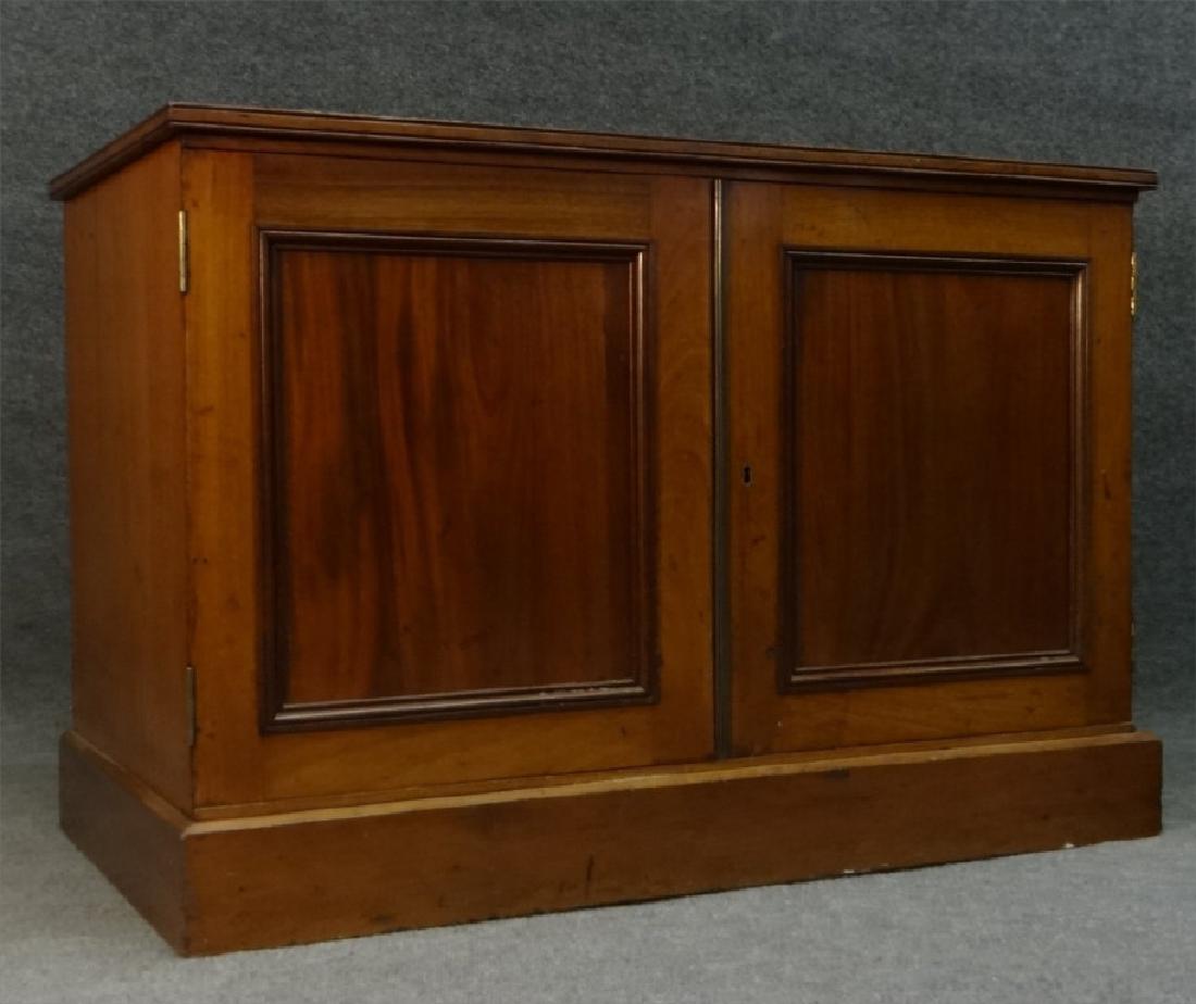 EXCEPTIONAL SPECIMEN CABINET W/ 20 GLASS ENCLOSED (1 of 8)