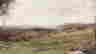 item-110672945=5