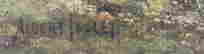 item-110672945=7