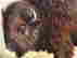 item-110672965=4