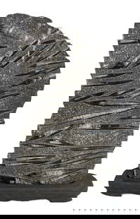 LARGE POLISHED ORTHOCERAS FOSSIL SPECIMEN 24" X 15": LARGE POLISHED ORTHOCERAS FOSSIL SPECIMEN 24" X 15"
