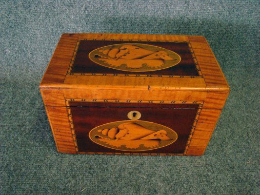 Inlaid Tea Caddy With Conch Shell & Figured Maple: Inlaid Tea Caddy With Conch Shell & Figured Maple