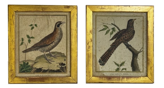 2 - 18THC, HAND COLORED BIRD PRINTS AFTER MARTINET (FRANCOIS NICOLAS MARTINET 1730-1804)  11 1/4" X
