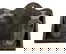 item-207403087=1
