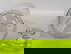 item-207403087=6