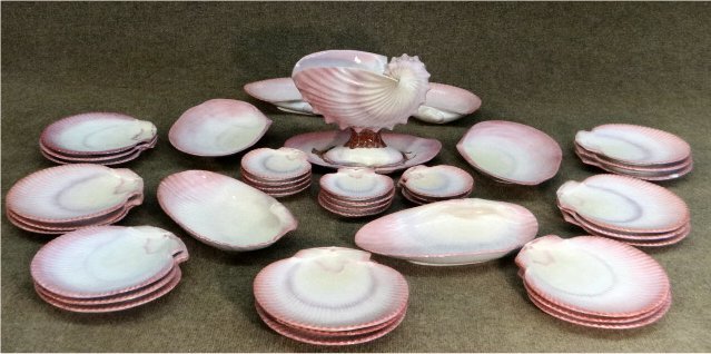 38 PCS WEDGWOOD NAUTILUS PATTERN CREAMWARE: INC. SHELL COMPOTE, 3 PR OPEN SHELL SERVING DISHES, SCALLOPED PLATE, ETC.