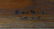 MISSION OAK SERVER , STICKLEY BROS. - 5