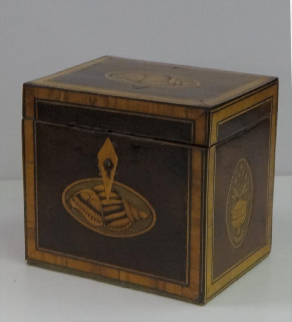 ENGLISH REGENCY STYLE INLAID TEA CADDY (1 of 5)