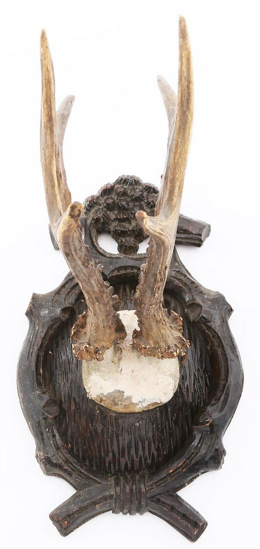 BLACK FOREST ROE DEER TROPHY MOUNT C.1880s (1 of 3)