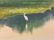 Livingston Roberts Florida Highwaymen Original Painting - 4