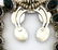 Suite of Native American Sterling Silver & Turquoise - 3