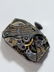 Antique Art Deco Glycine Platinum Fine Diamond Ladies - 7