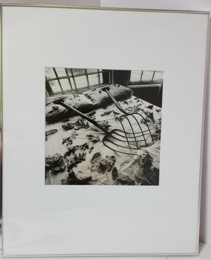 Arthur Tress Black White Photograph Bed Leaves (1 of 5)