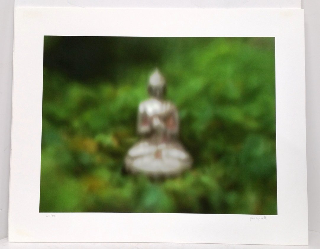 Jim Campbell Dynamism Of An Observer In The Weeds Print (1 of 6)